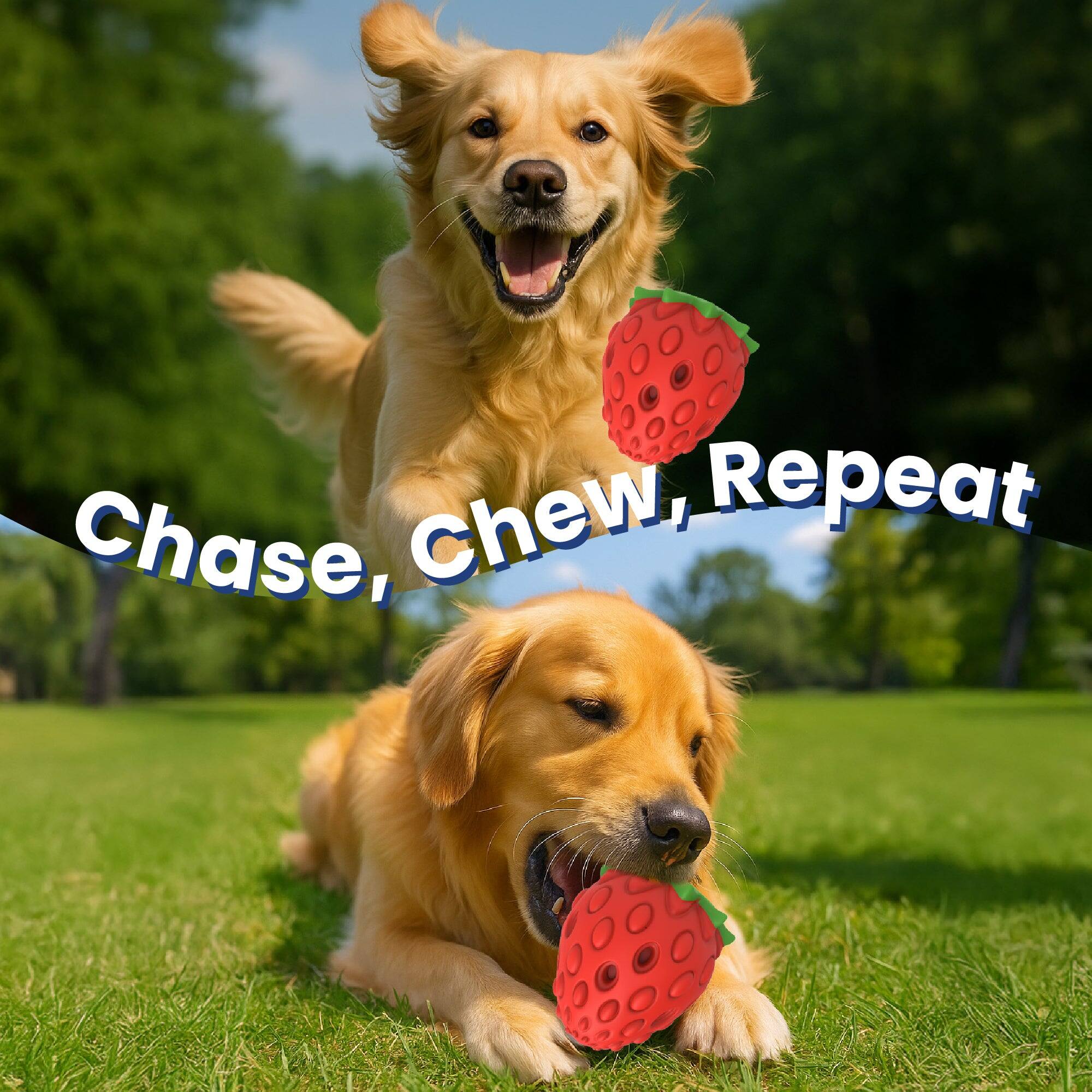 Chase, Chew, Repeat