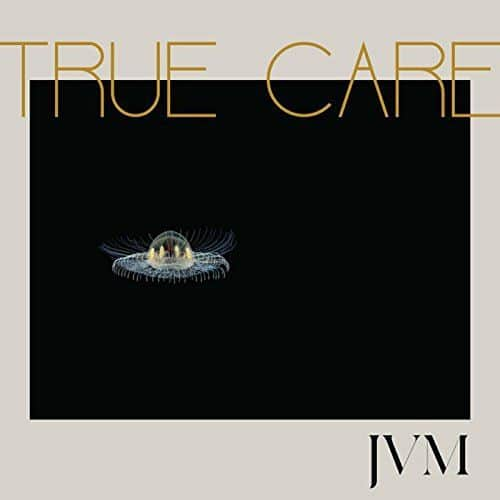 True Care [LP] - VINYL