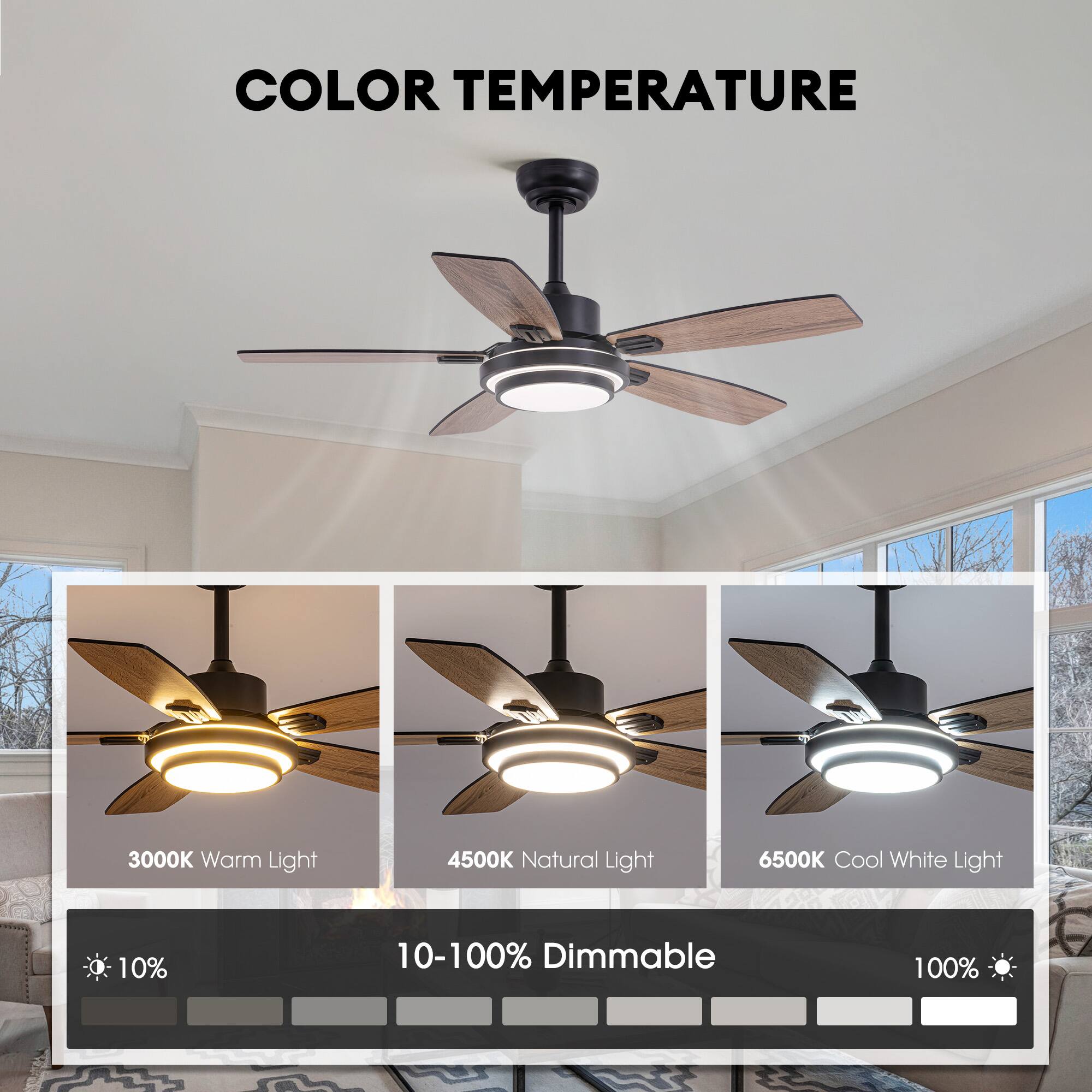 COLOR TEMPERATURE

3000K Warm Light
4500K Natural Light
6500K Cool White Light

10-100% Dimmable