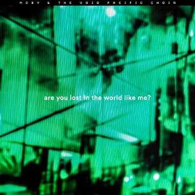  Are You Lost in the World Like Me? [12 inch Vinyl Single]