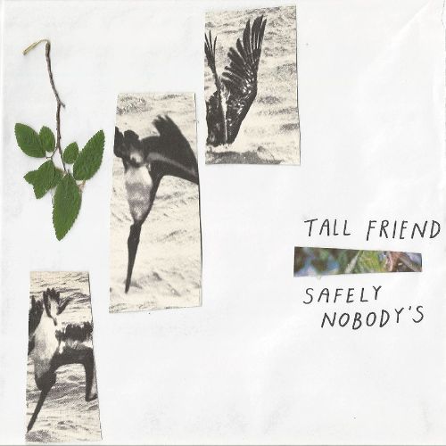 Safely Nobody's [LP] - VINYL