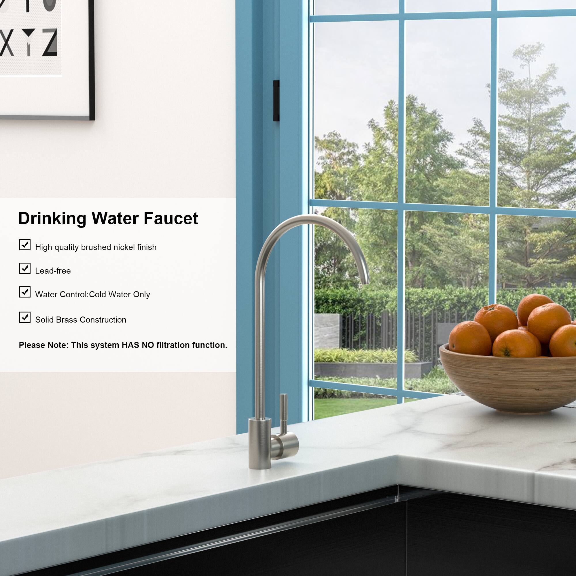 Drinking Water Faucet

- High quality brushed nickel finish
- Lead-free
- Water Control: Cold Water Only
- Solid Brass Construction

Please Note: This system HAS NO filtration function.