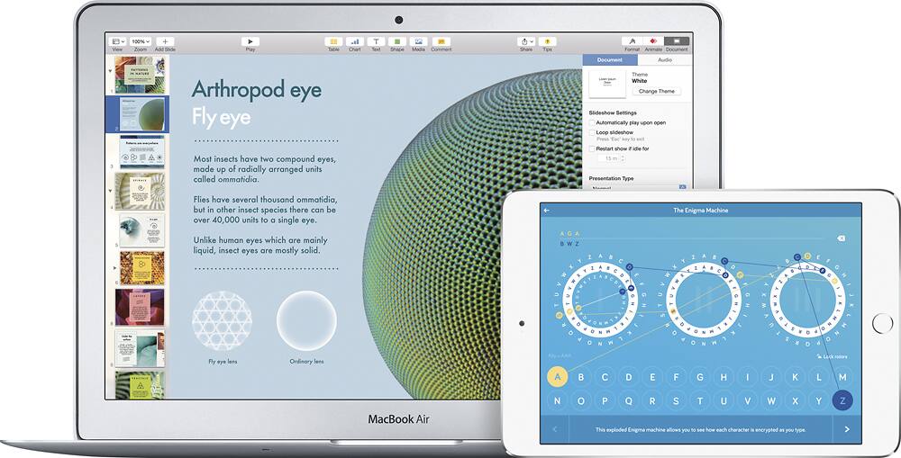The image features a MacBook Air laptop and an iPad, both displaying information about the Arthropod eye. The laptop is open and positioned on the left side of the image, while the iPad is placed on the right side. The content displayed on both devices is focused on the anatomy and structure of the Arthropod eye, with a detailed explanation and diagrams. The image also includes a cell phone placed at the bottom right corner of the scene.