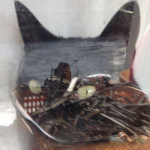 Best Buy Hidden Lights [12 inch Vinyl Single]