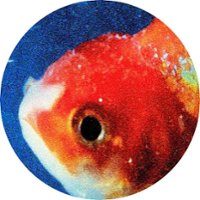 Big Fish Theory [Picture Disc] [PA] - Front_Original