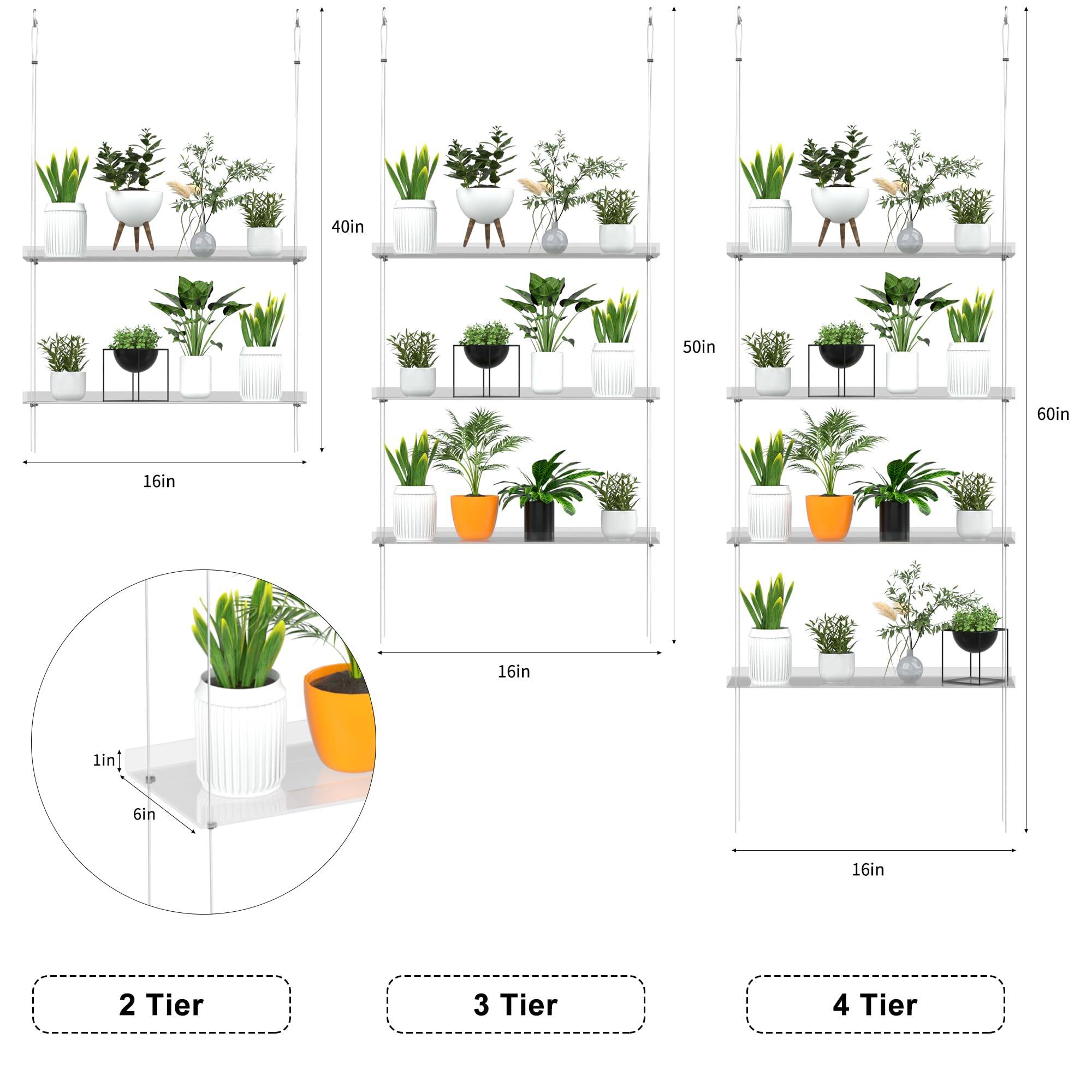 - 40in
- 50in
- 60in
- 16in
- 16in
- 1in
- 10
- 6in
- 16in
- 2 Tier
- 3 Tier
- 4 Tier