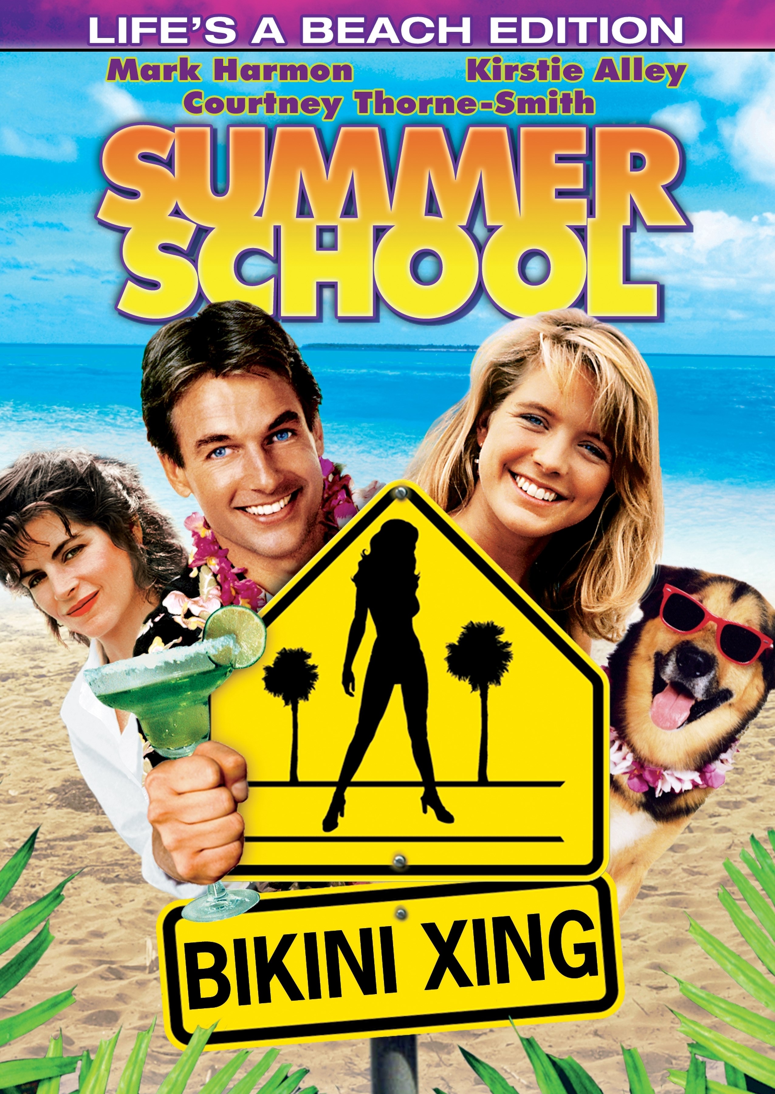 Summer School Dvd 1987 Best Buy