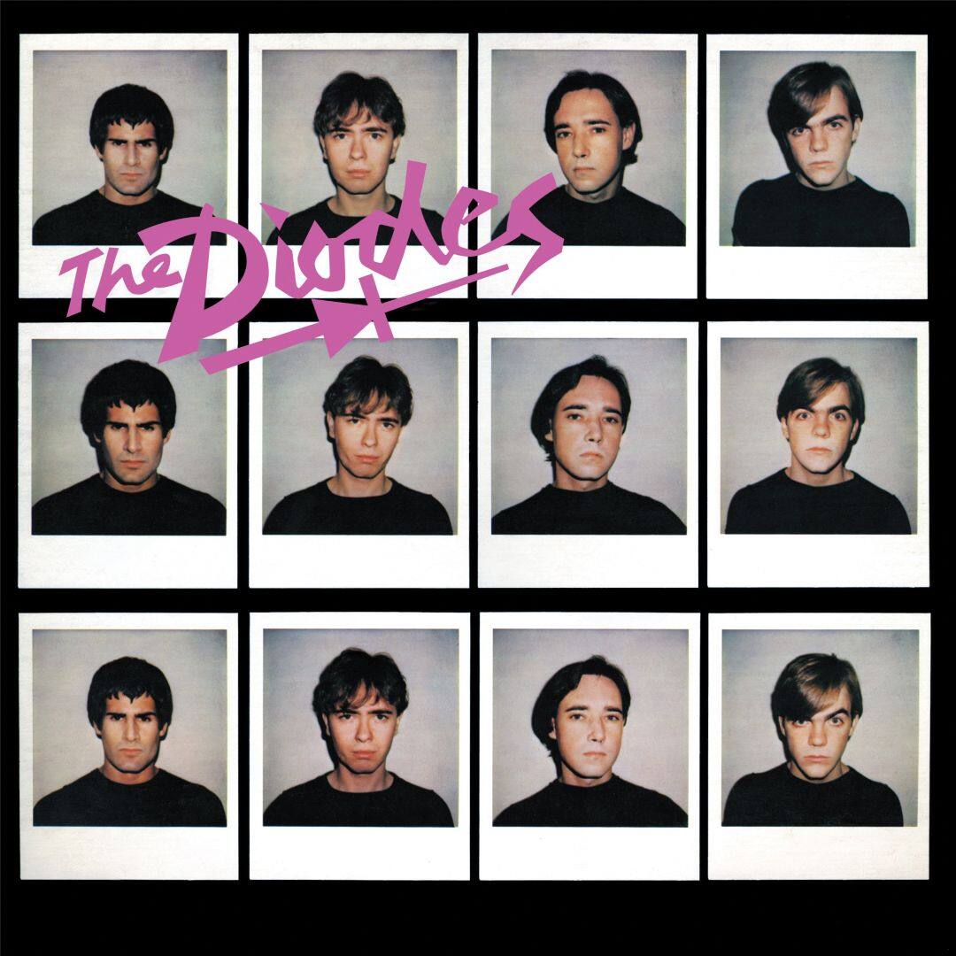 Best Buy The Diodes [LP] VINYL