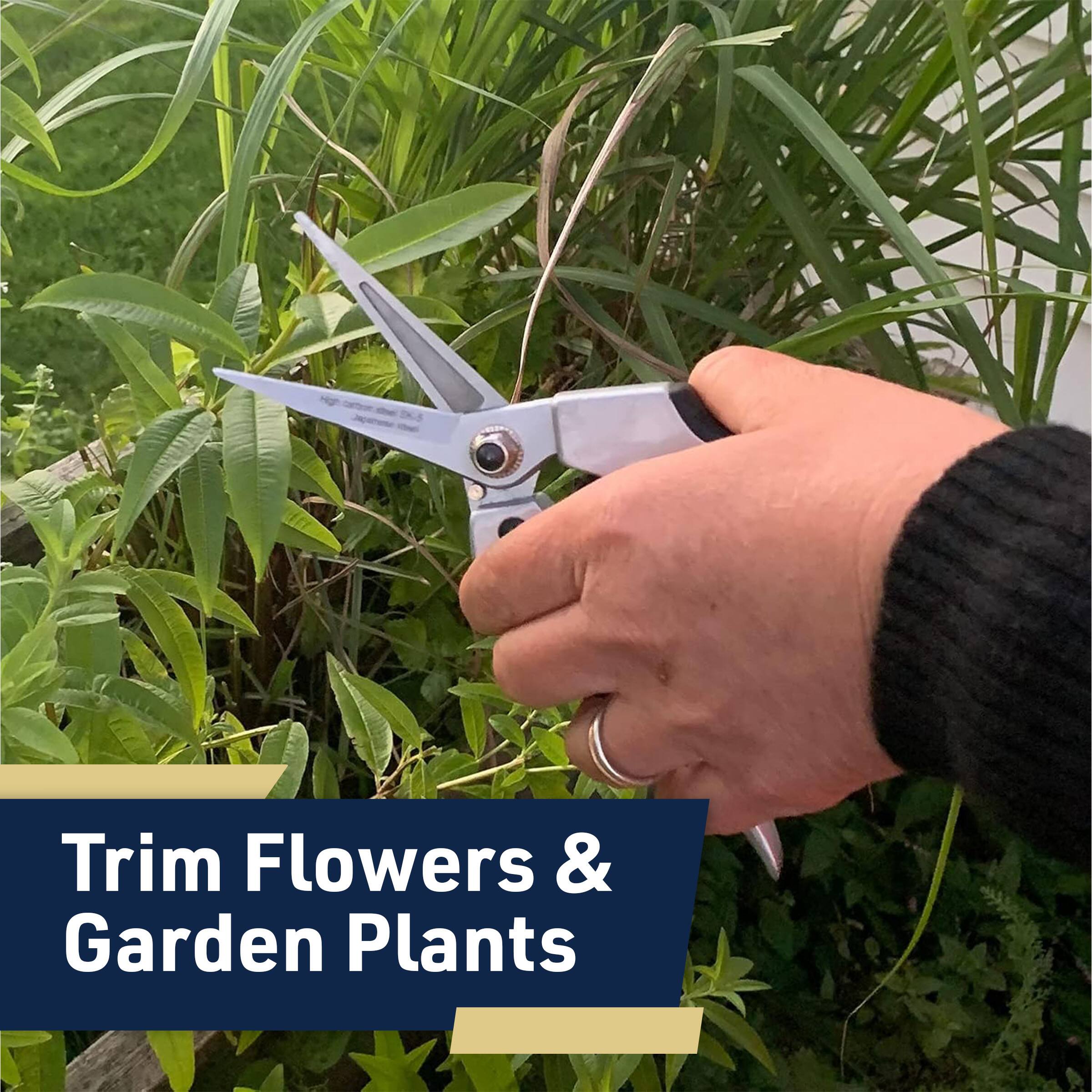 Trim Flowers & Garden Plants