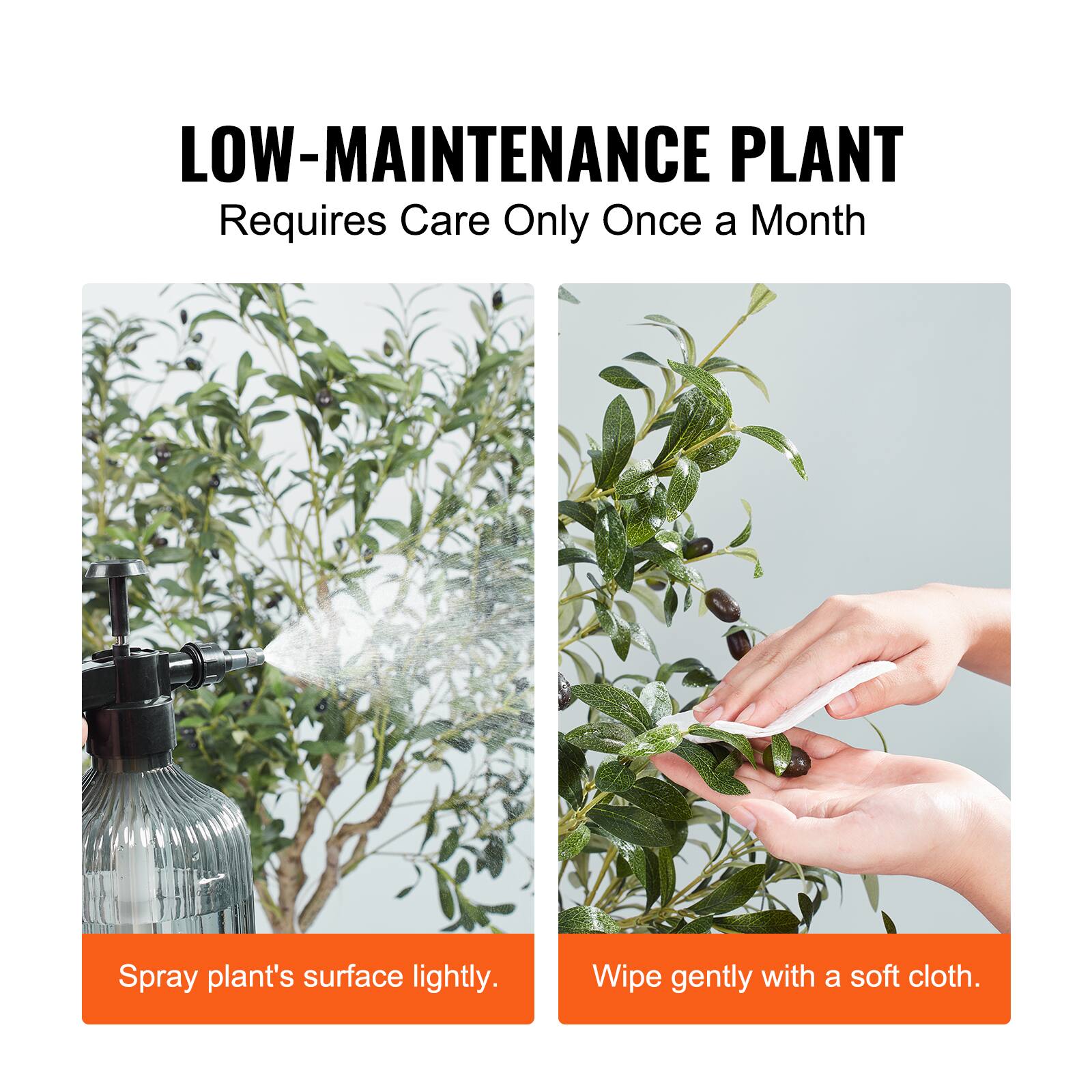 LOW-MAINTENANCE PLANT  
Requires Care Only Once a Month  

Spray plant's surface lightly.  
Wipe gently with a soft cloth.