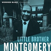 Worried Blues [LP] - VINYL - Front_Standard