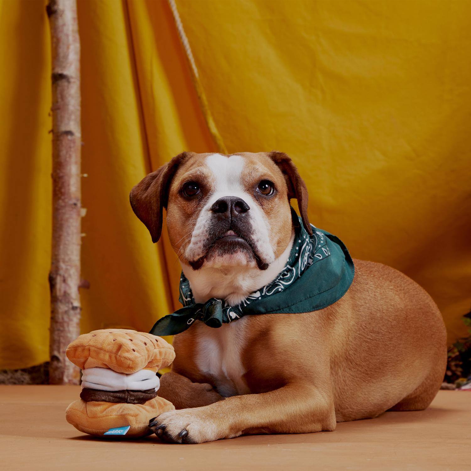 Left. BARK - Bark Multicolored Plush More S'mores Dog Toy 1 pk (Case of 3) - Multicolored.