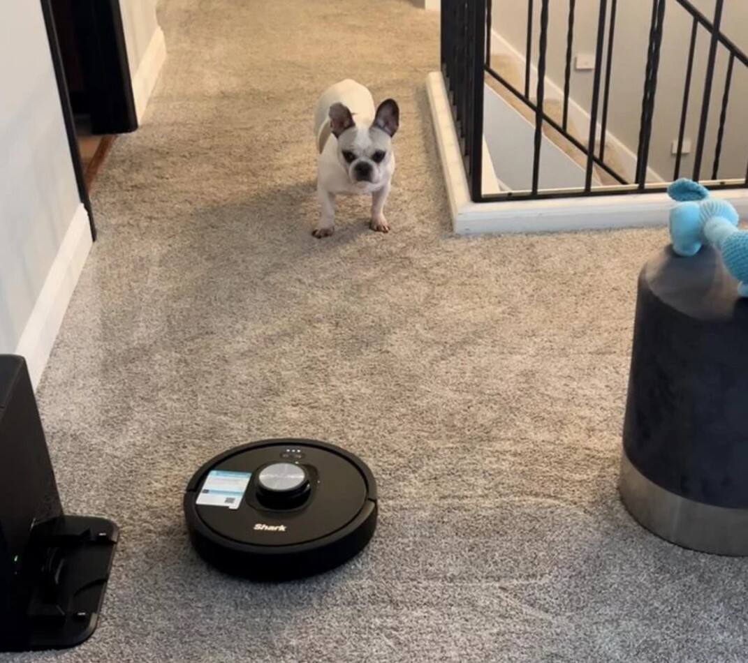 Alt View 10. Shark - R-RV2310AE Matrix Self-Empty Robot Vacuum for Carpets & Hardfloors with 45-Day Bagless Base - Refurbished Excellent - Black.