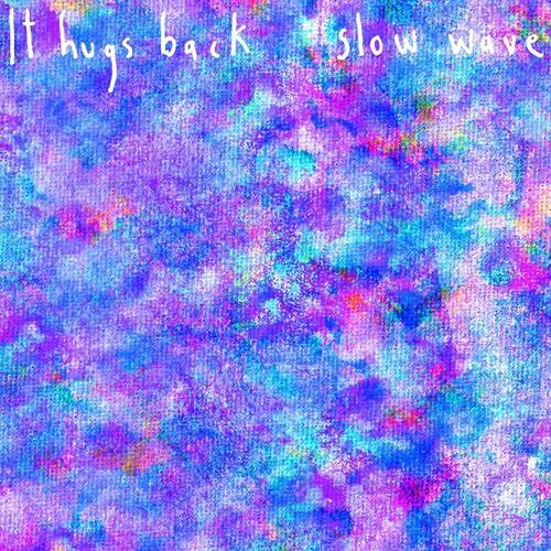 It Hugs Back - Slow Wave   - VINYL LP price history on PriceWatchPro
