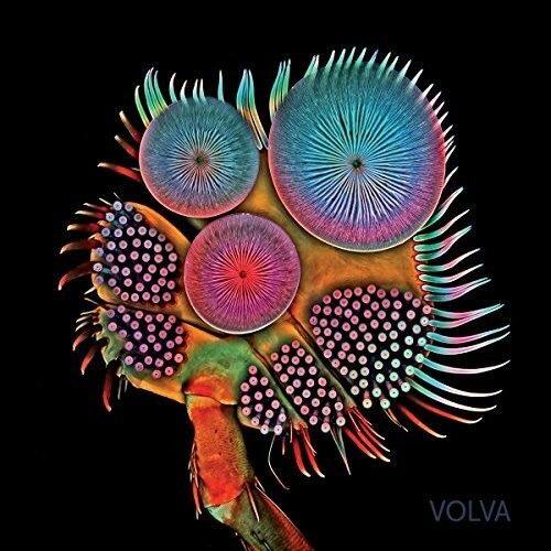 

Volva [LP] - VINYL