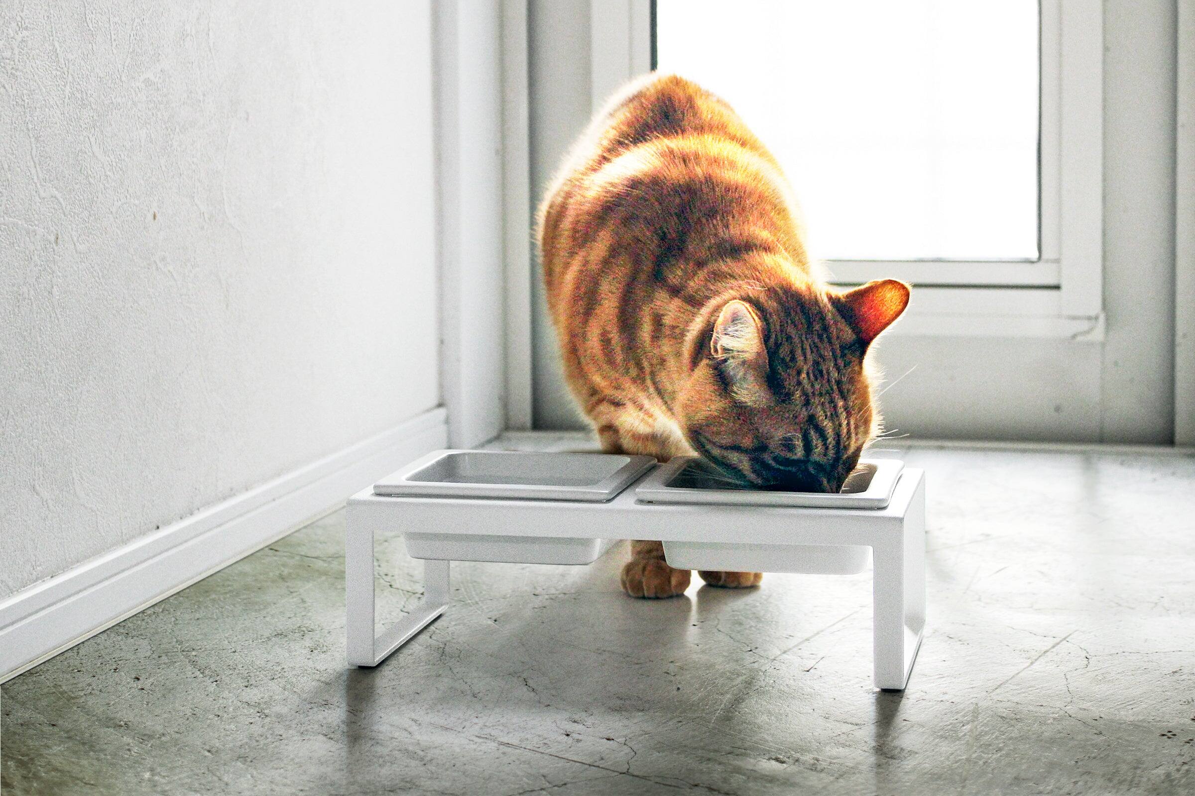 Left. Yamazaki Home - Pet Food Bowl - Tall - Steel + Ceramic - White.