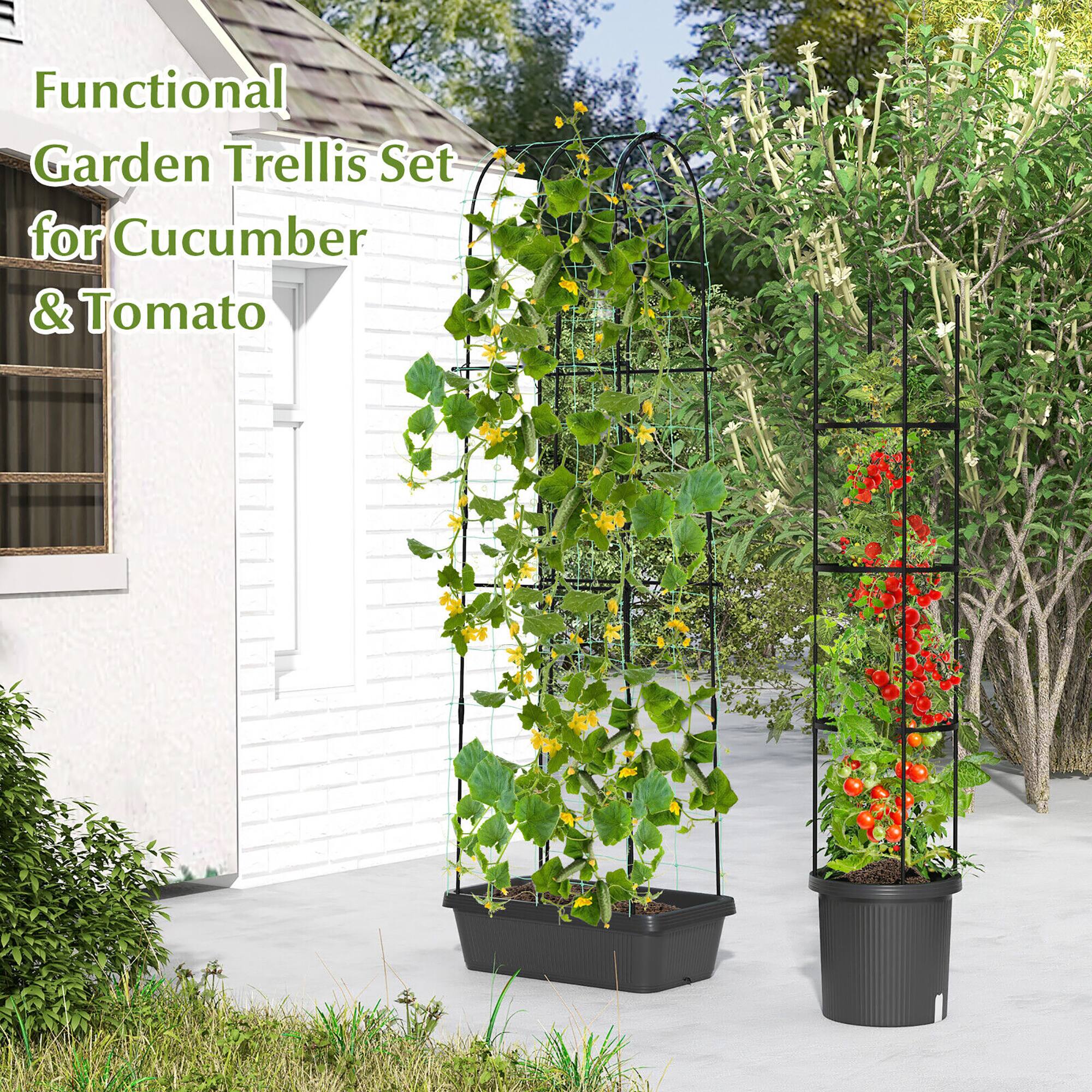 Functional Garden Trellis Set for Cucumber & Tomato