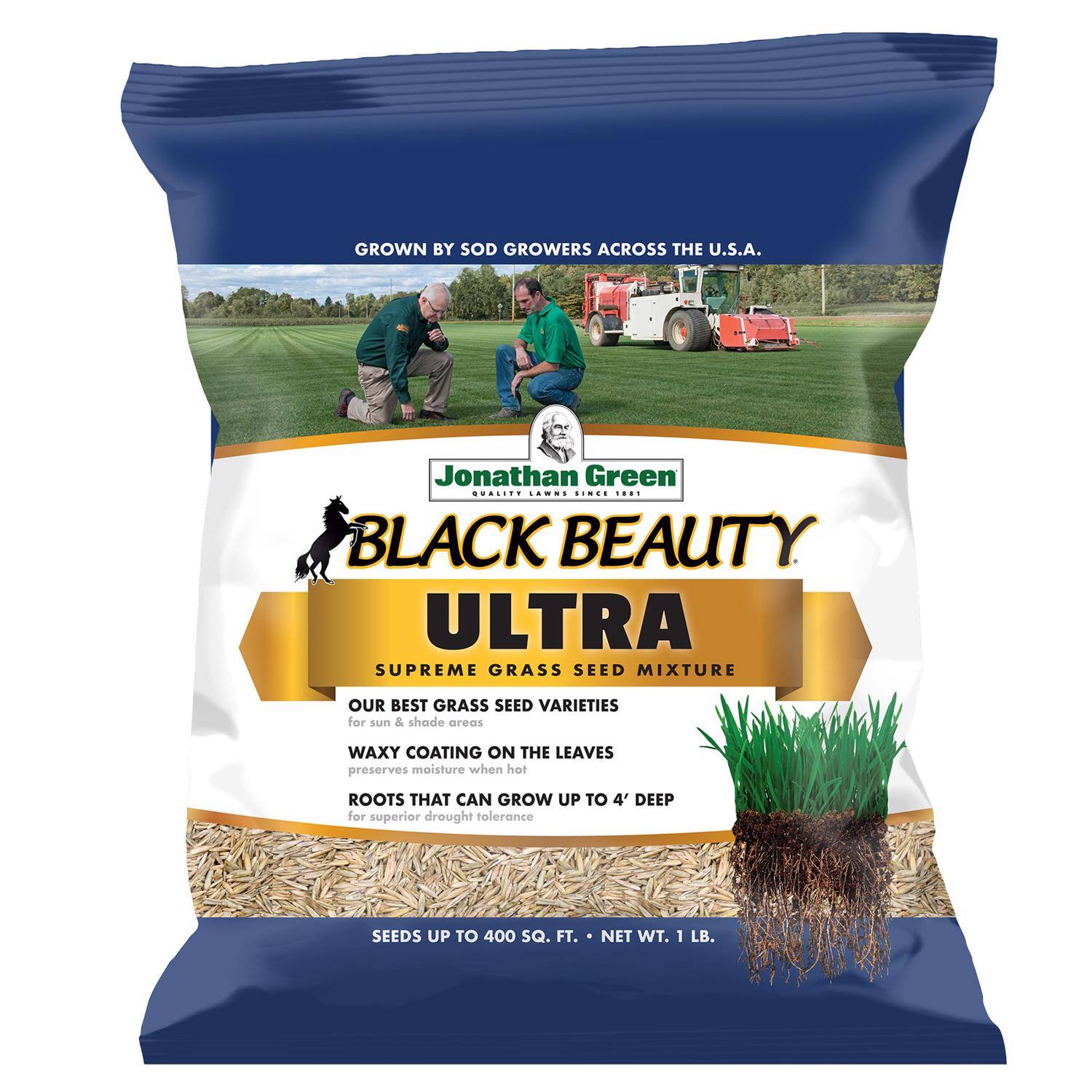 Jonathan Green - Black Beauty Ultra All Grasses Sun or Shade Grass Seed 1 lb price history on PriceWatchPro