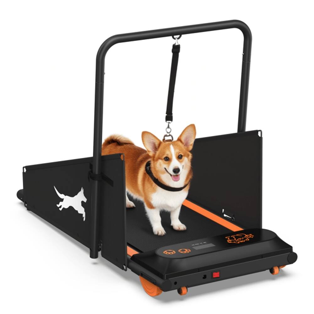 Alt View 3. Loheer - Loheer Dog Treadmill Pet Running Machine Quiet Indoor Exercise for Small Medium Dogs 220lb Capacity LCD Display - Black.