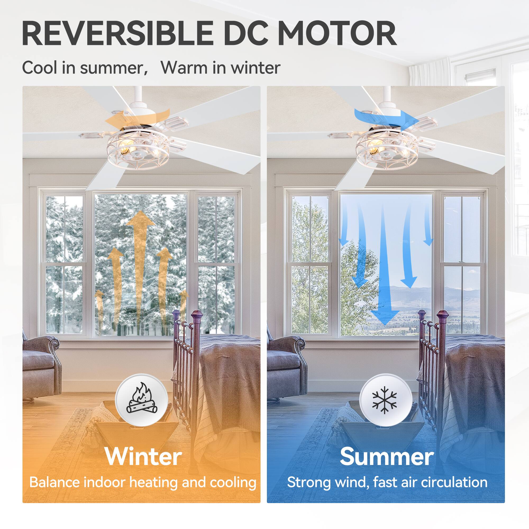 REVERSIBLE DC MOTOR
Cool in summer, Warm in winter
Winter Balance indoor heating and cooling
Summer Strong wind, fast air circulation