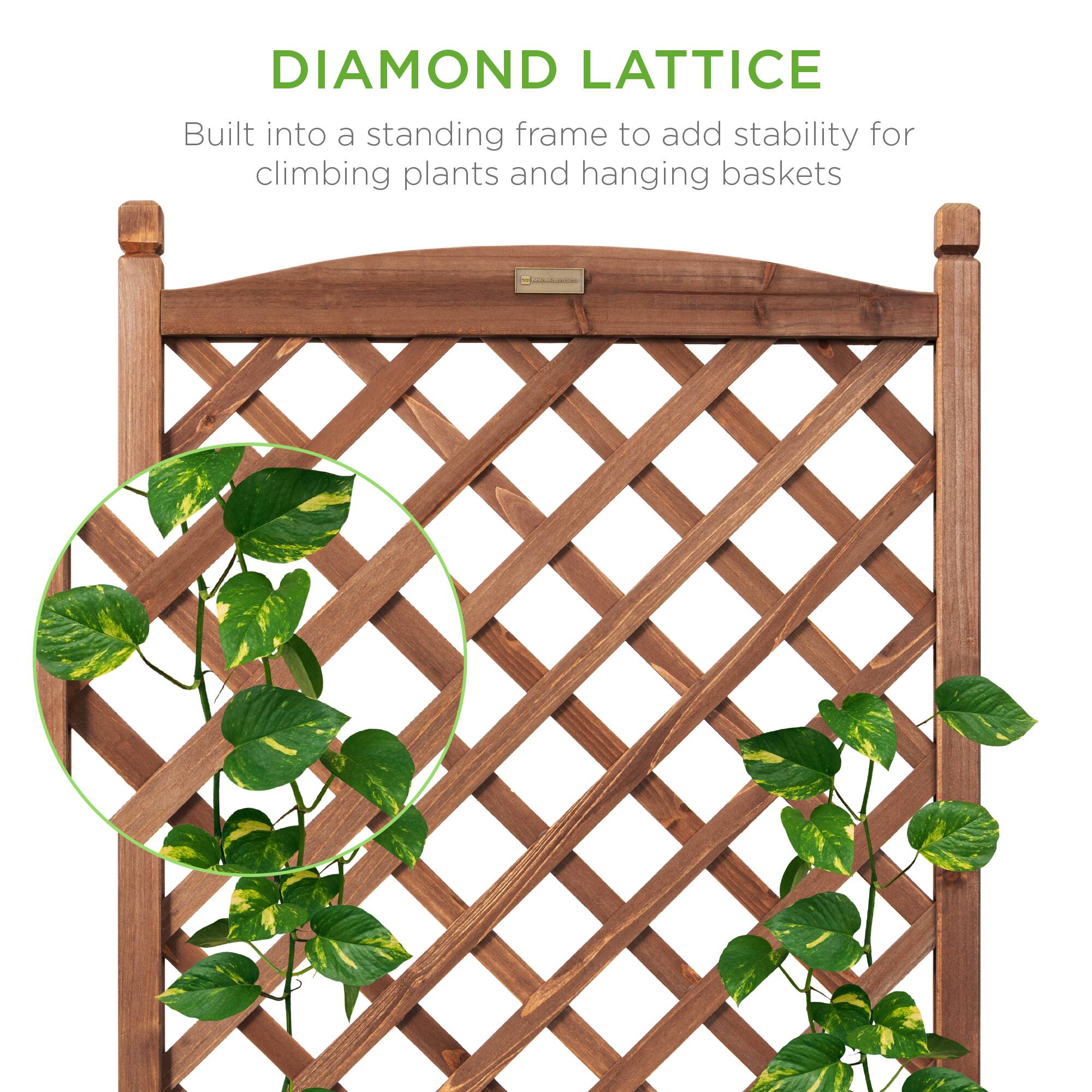 DIAMOND LATTICE

Built into a standing frame to add stability for climbing plants and hanging baskets