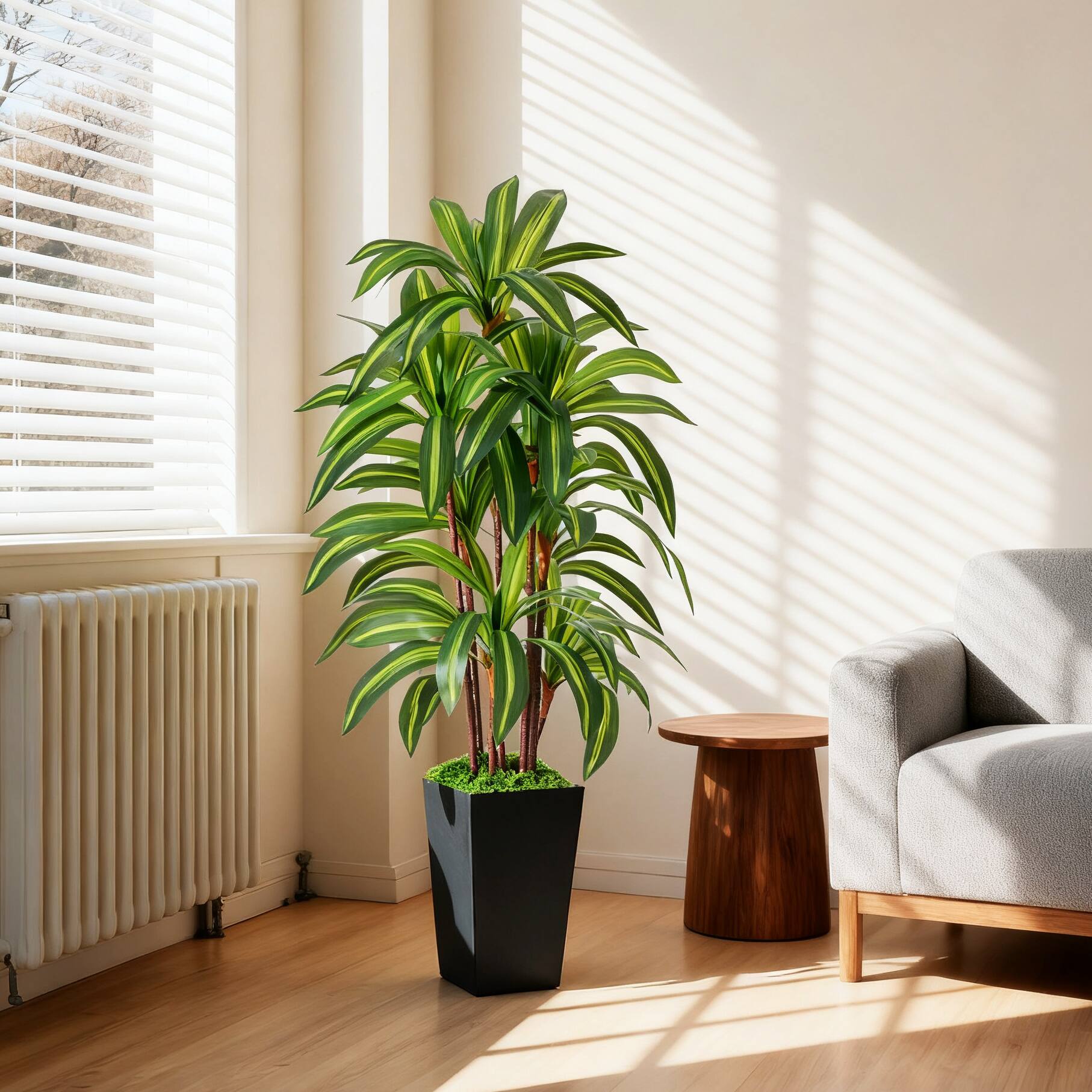 Front. NOVAROOT - 5Ft Artificial Dracaena Tree Indoor  Faux Plants Indoor with Black Tall Planter Home Office Decor - Green.