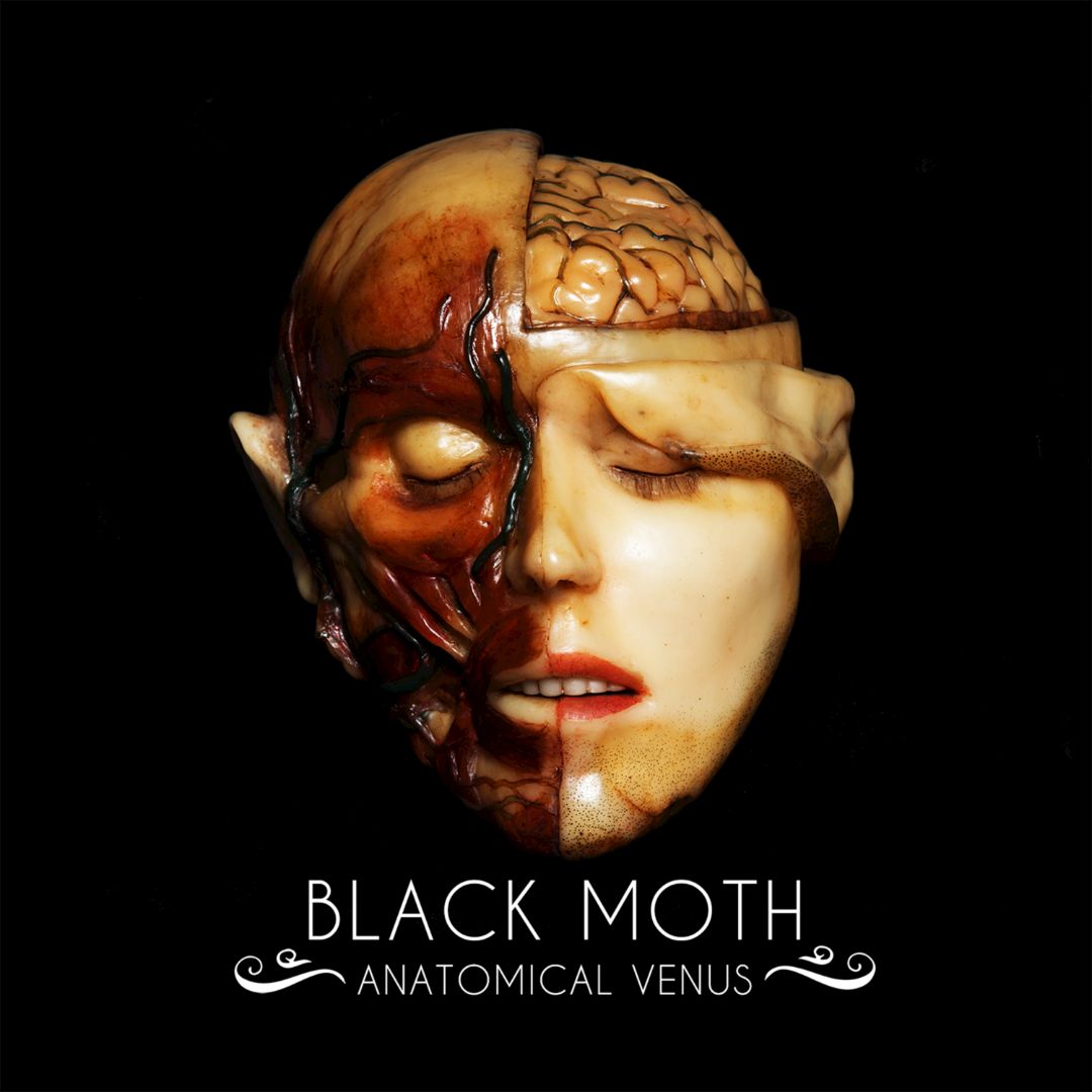 Anatomical Venus [LP] - VINYL