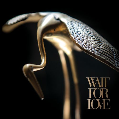 

Wait for Love [Black Vinyl] [LP] - VINYL