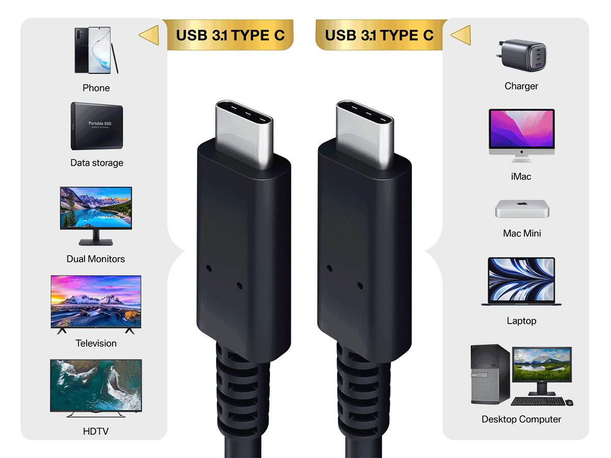 USB 3.1 TYPE C

Phone Charger Portable $50 Data storage iMac Mac Mini Dual Monitors Laptop Television HDTV Desktop Computer