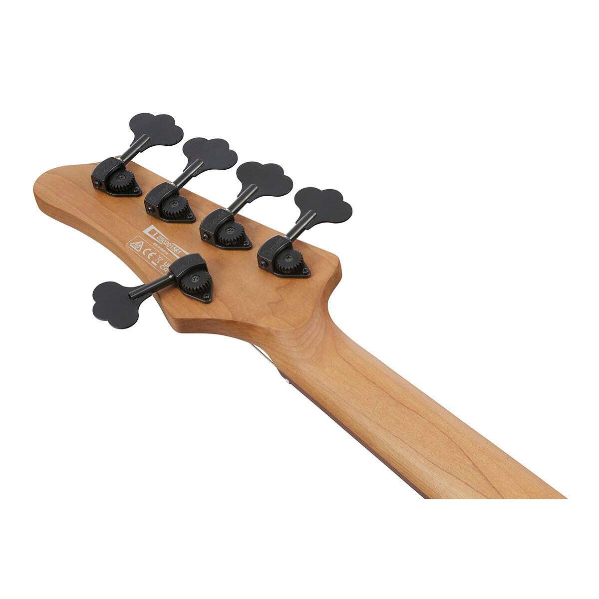 ACEZS LESSON GUITAR