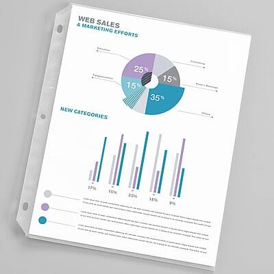 WEB SALES & MARKETING EFFORTS

- 25% - Email Marketing
- 15% - Social Media
- 35% - Search Engine Optimization (SEO)
- 15% - Content Marketing
- 7% - Influencer Marketing
- 15% - Paid Advertising
- 30% - Direct Sales
- 18% - Affiliate Marketing
- 9% - Other

NEW CATEGORIES

- 17%
- 15%
- 20%
- 18%
- 9%