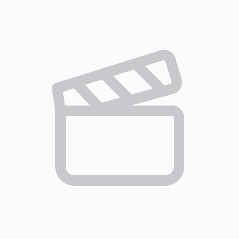 Best Buy Chelsea DVD 2014 