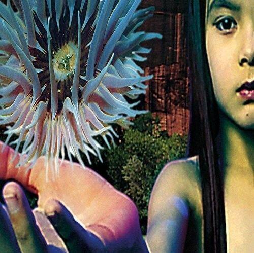 

Lifeforms [LP] - VINYL