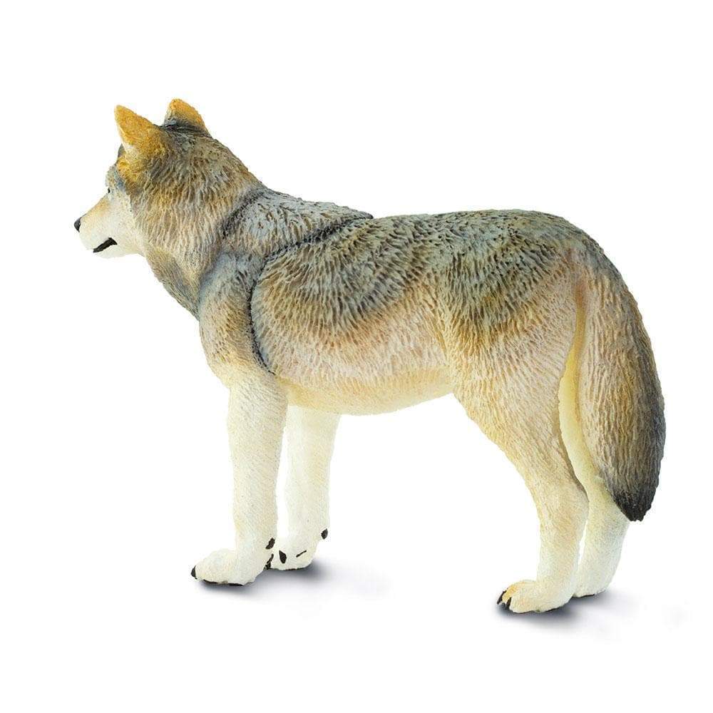 Angle. Safari Ltd. - Gray Wolf Toy Figurine.