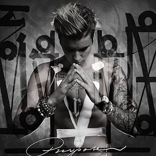 

Purpose [Limited Edition] [Picture Disc]