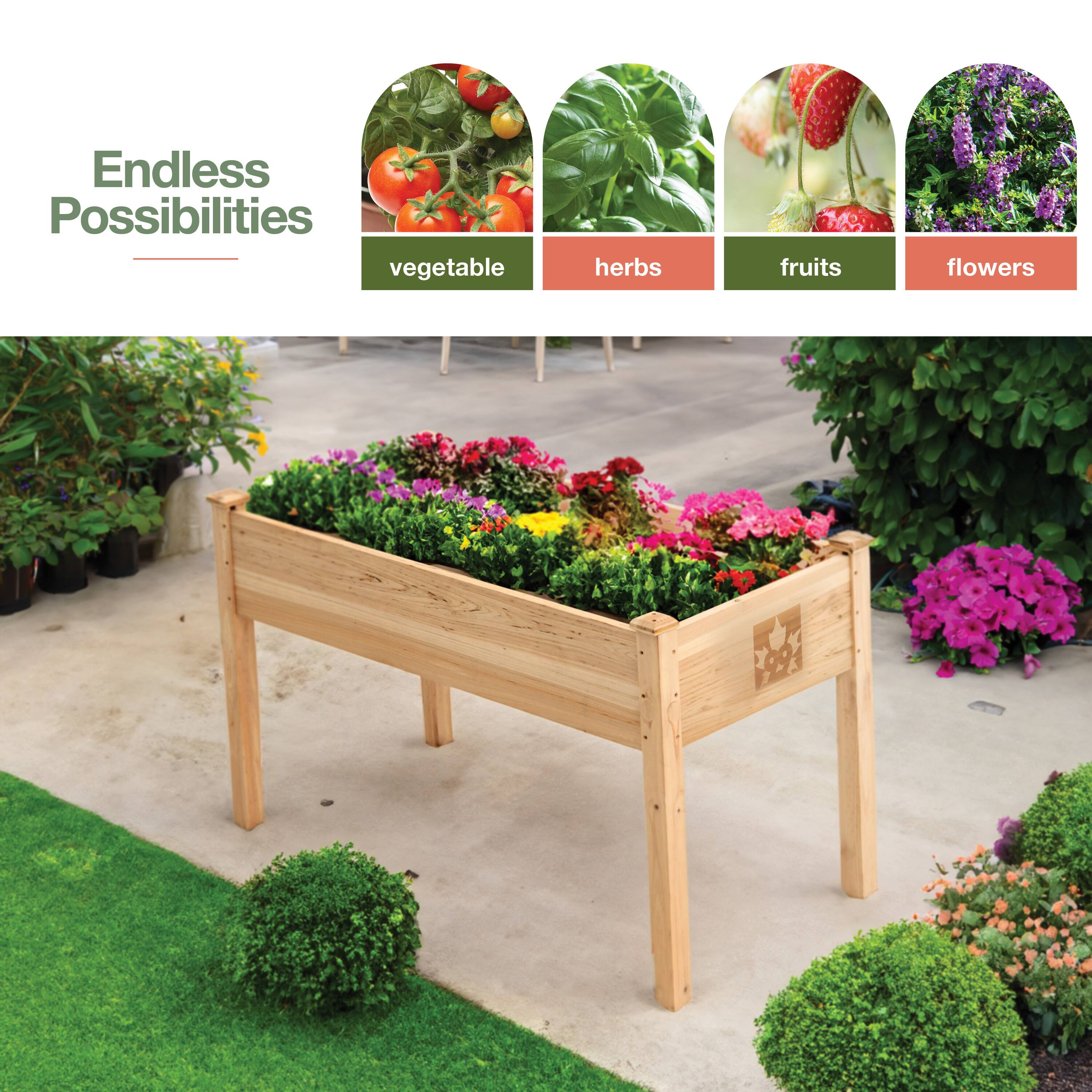 Endless Possibilities

vegetable herbs fruits flowers