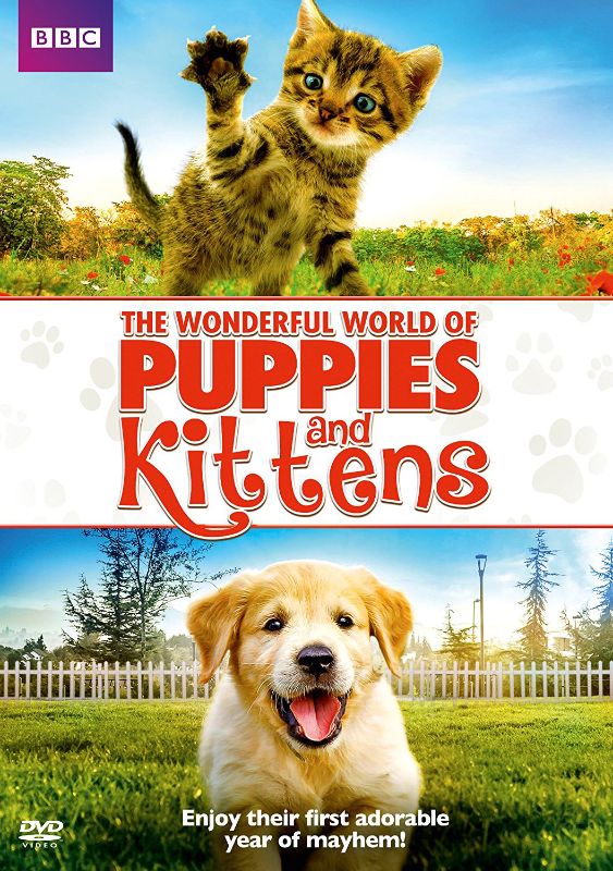 UPC 883929607785 product image for The Wonderful World of Puppies & Kittens [DVD] [2016] | upcitemdb.com