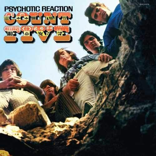 

Psychotic Reaction [LP] - VINYL