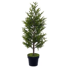 Vickerman - 40.5" Potted Norfolk Pine Tree - Green