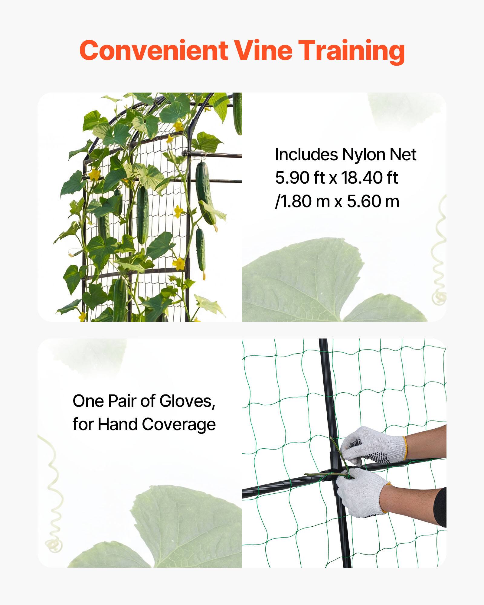 Convenient Vine Training

Includes Nylon Net  
5.90 ft x 18.40 ft  
/1.80 m x 5.60 m

One Pair of Gloves, for Hand Coverage