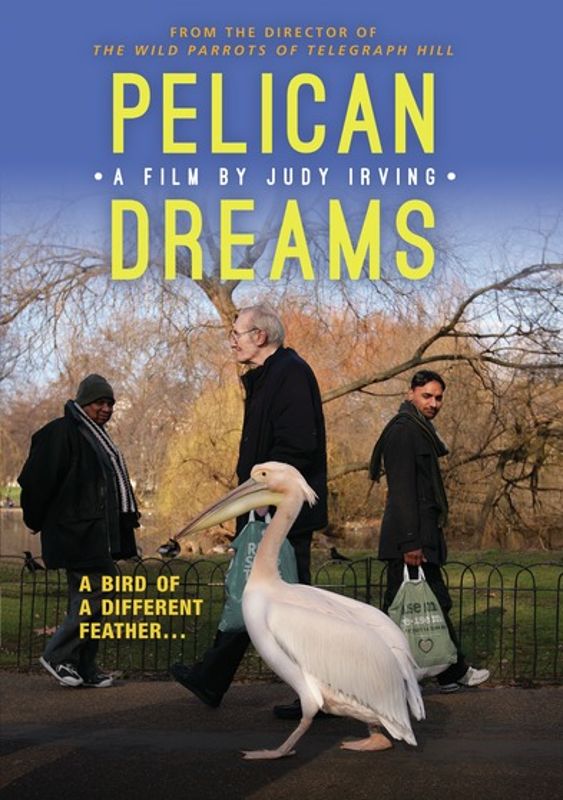Pelican Dreams [DVD] [2014]
