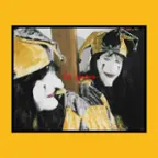 Front. Mirror Might Steal Your Charm [LP].