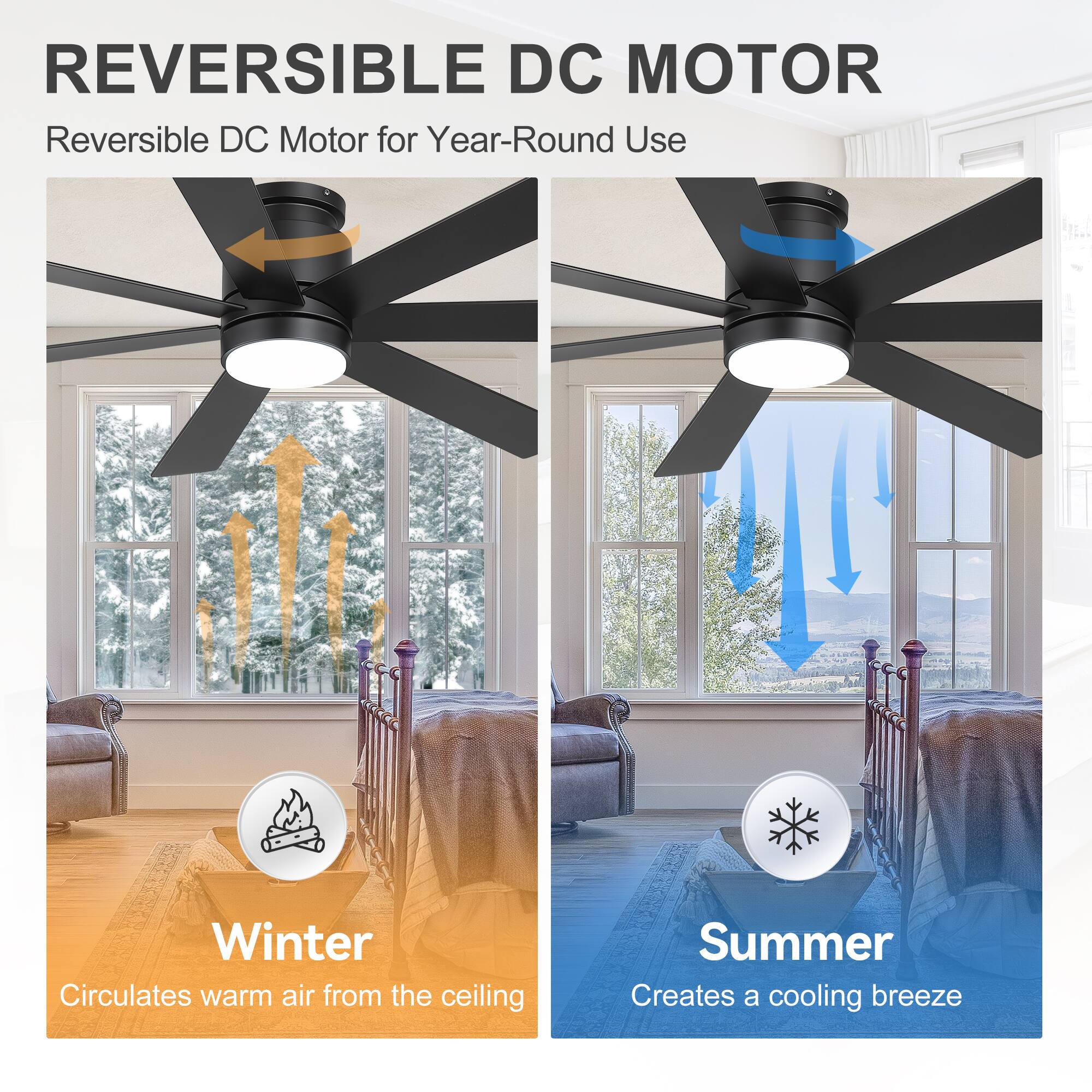REVERSIBLE DC MOTOR  
Reversible DC Motor for Year-Round Use  

Winter  
Circulates warm air from the ceiling  

Summer  
Creates a cooling breeze