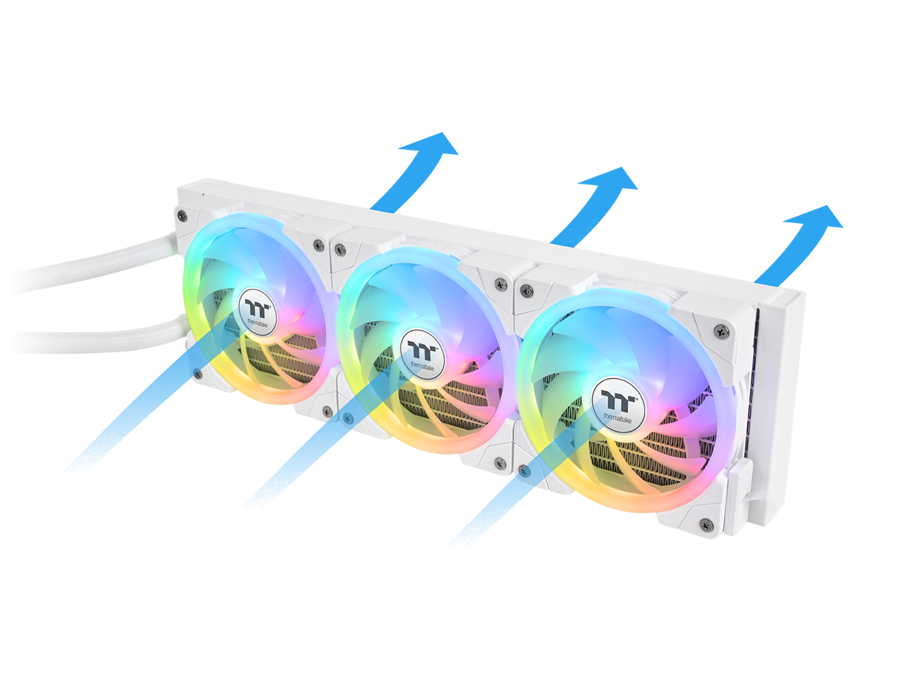 tenzan - Tortao thermalule