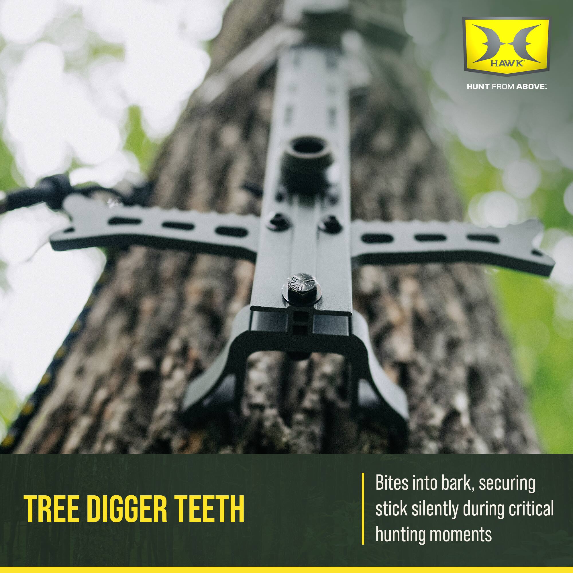 DE HAWK HUNT FROM ABOVE. TREE DIGGER TEETH Bites into bark, securing stick silently during critical hunting moments