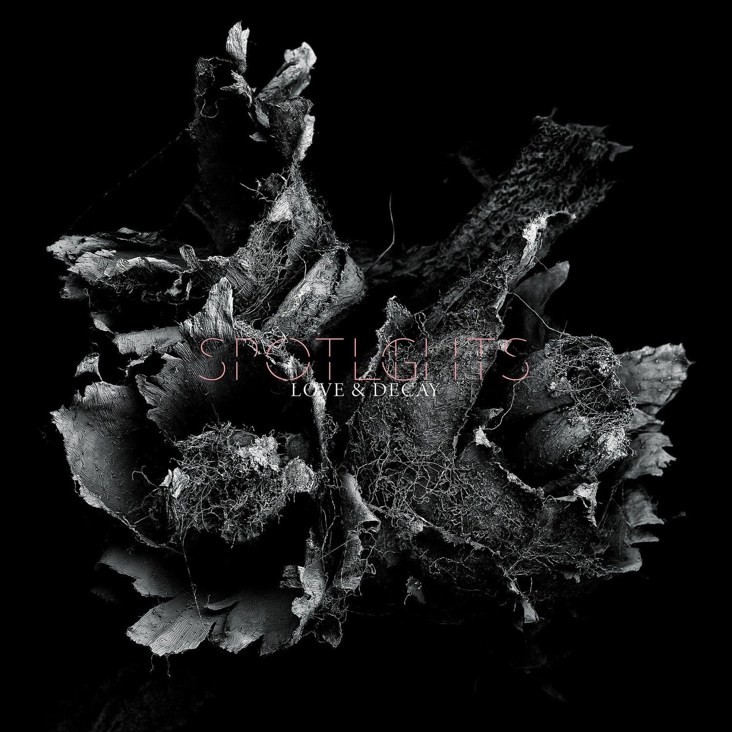 Spotlights - Love & Decay   - COMPACT DISCS [CD] price history on PriceWatchPro