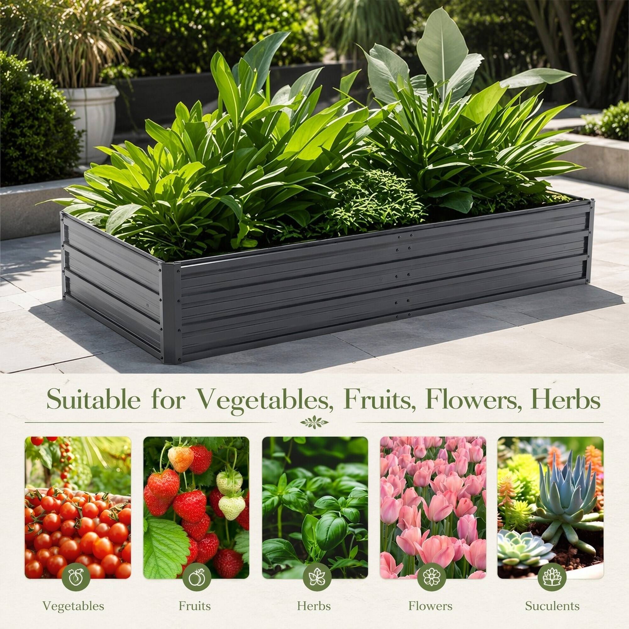 Suitable for Vegetables, Fruits, Flowers, Herbs

Vegetables
Fruits
Herbs
Flowers
Succulents