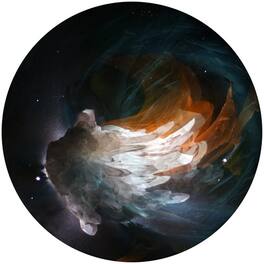 Fauns - Lights - VINYL LP