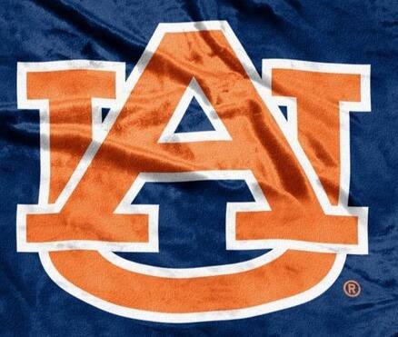 Alt View 1. Northwest - Auburn-University - 50x60 School Spirit Royal Plush Raschel Throw Blanket - Multi.