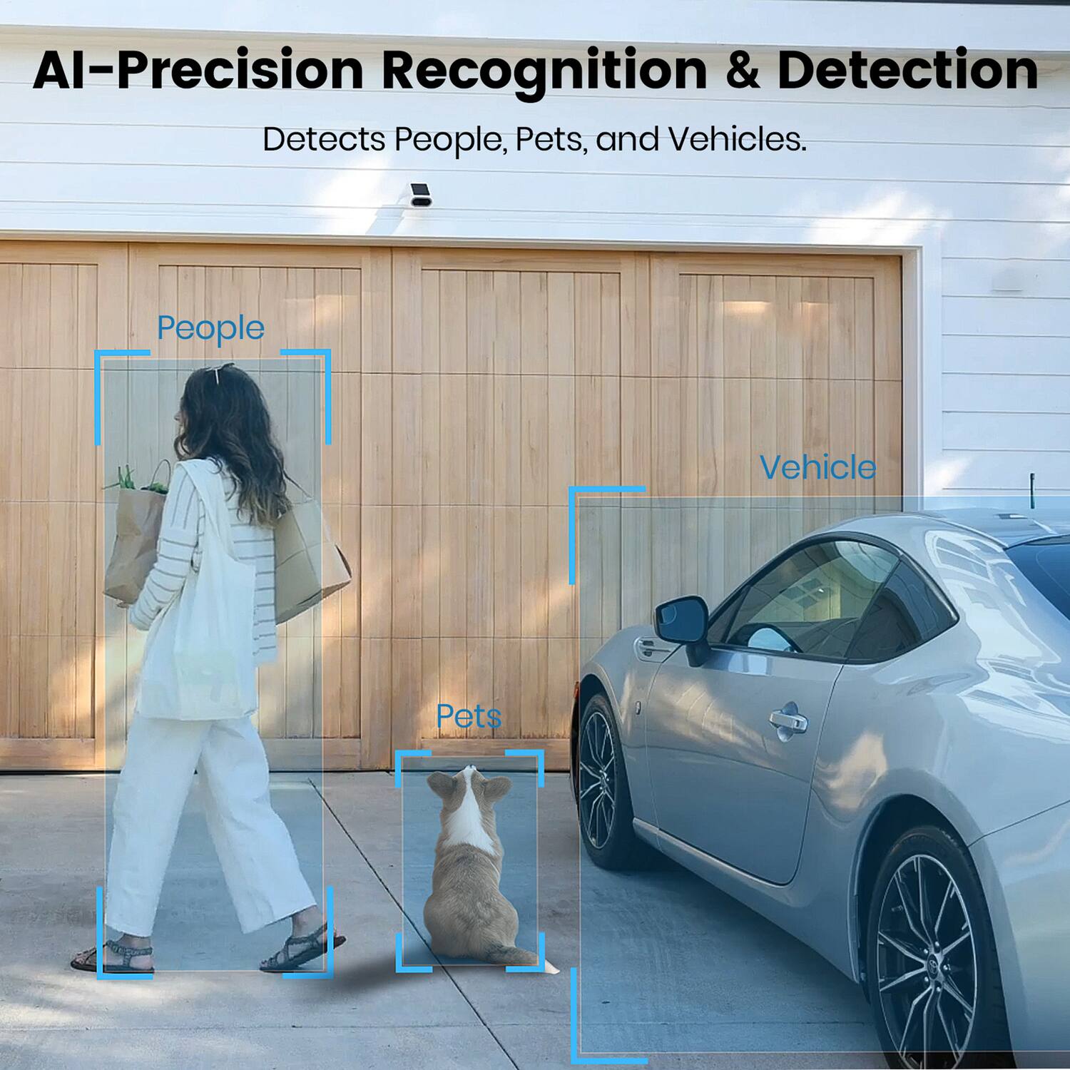 AI-Precision Recognition & Detection  
Detects People, Pets, and Vehicles.  

People  
Vehicle  
Pets
